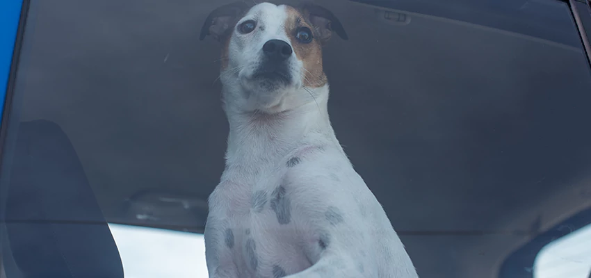 Car Lockout Solutions in Eureka, California